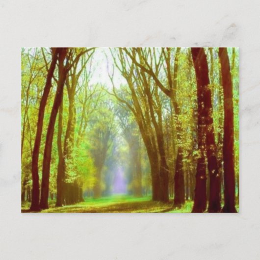 Lentlicht Briefkaart (Voorkant)