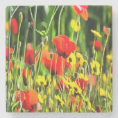 Lentpapavers en beemdloerschilfers stenen onderzetter (Voorkant)