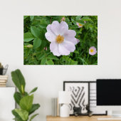 Lentroze tint poster (Thuiskantoor)