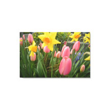 Lentroze tulp en gele daffodilbloemen