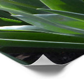 Lentroze tulpbloemen, The Lord's Prayer Poster (Hoek)