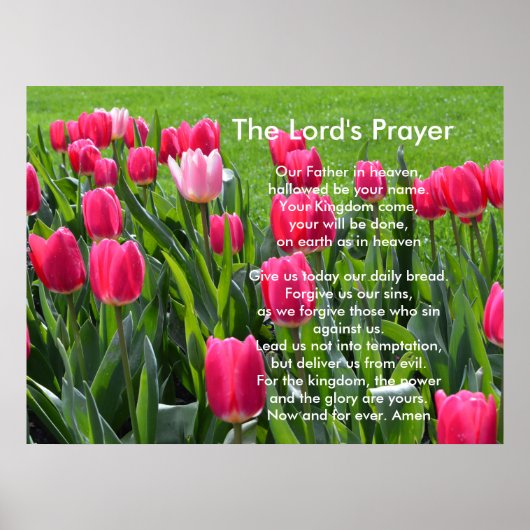 Lentroze tulpbloemen, The Lord's Prayer Poster (Voorkant)