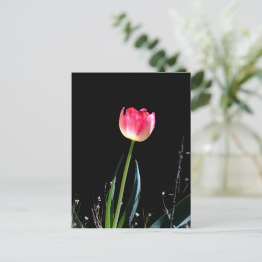 Lentusje Briefkaart (Staand voorkant)