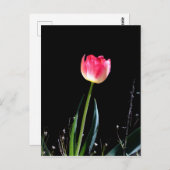 Lentusje Briefkaart (Voorkant / Achterkant)