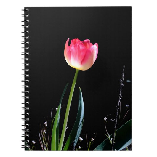 Lentusje Notitieboek (Voorkant)