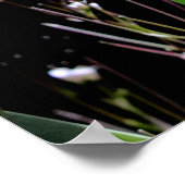 Lentusje Poster (Hoek)