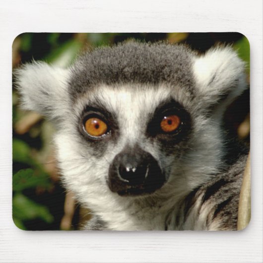 Lenur Mousepad Muismat (Voorkant)