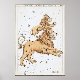 Leo Astrological Tekening Poster