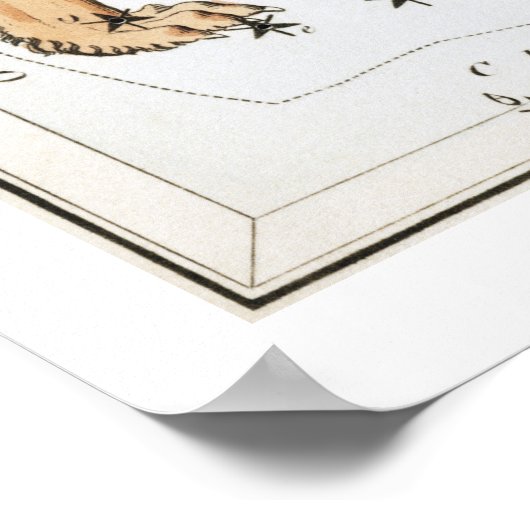 Leo Astrology Zodiac Poster (Hoek)