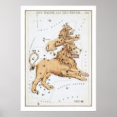 Leo Astrology Zodiac Poster (Voorkant)