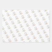 Leo Birthday Inpakpapier Vel (Voorkant 3)