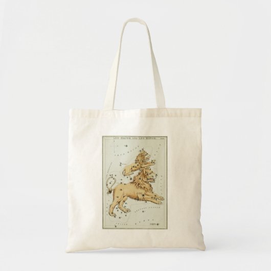 Leo canvas tas (Voorkant)