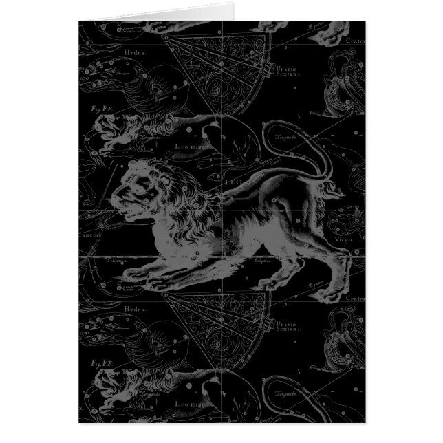 Leo Constellation Hevelius 1690 Decor (Voorkant)