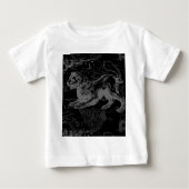 Leo Constellation Hevelius 1690 juli - 23 augustus (Voorkant)