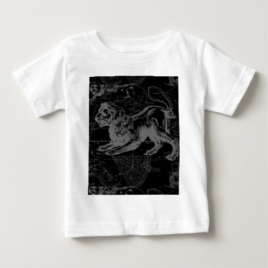 Leo Constellation Hevelius 1690 juli - 23 augustus (Voorkant)