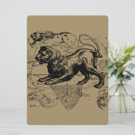 Leo Constellation Hevelius 1690 juli - 23 augustus (Staand voorkant)