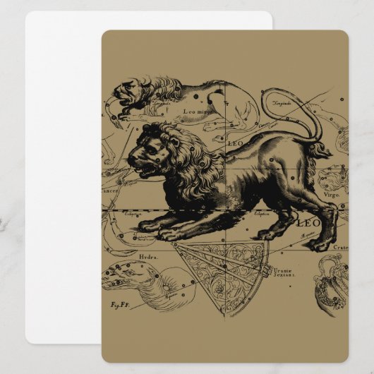 Leo Constellation Hevelius 1690 juli - 23 augustus (Voorkant / Achterkant)