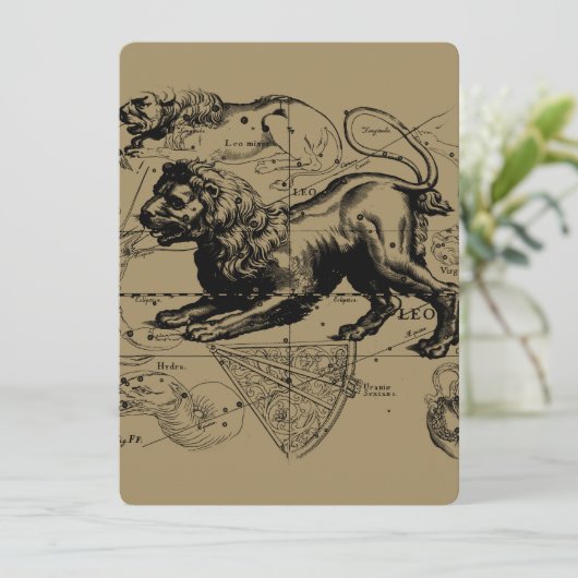 Leo Constellation Hevelius 1690 juli - 23 augustus (Staand voorkant)