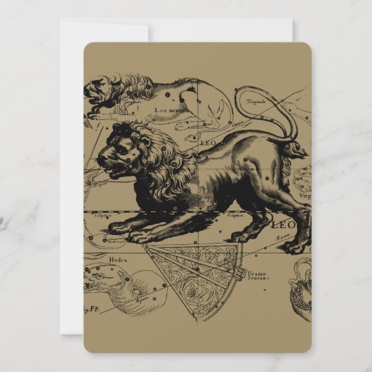 Leo Constellation Hevelius 1690 juli - 23 augustus (Voorkant)