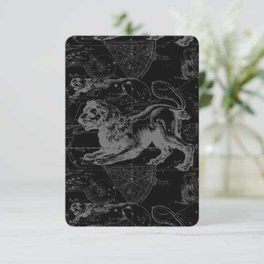 Leo Constellation Hevelius 1690 juli - 23 augustus (Staand voorkant)