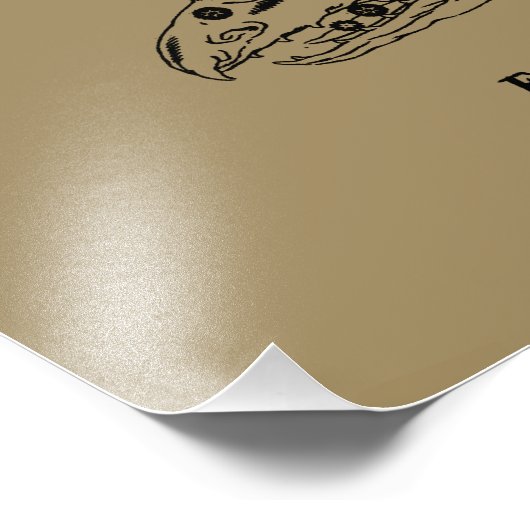 Leo Constellation Hevelius 1690 juli 23 augustus 2 Foto Afdruk (Hoek)