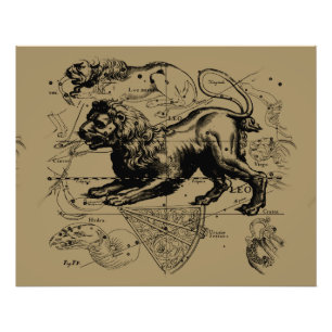 Leo Constellation Hevelius 1690 juli 23 augustus 2 Foto Afdruk
