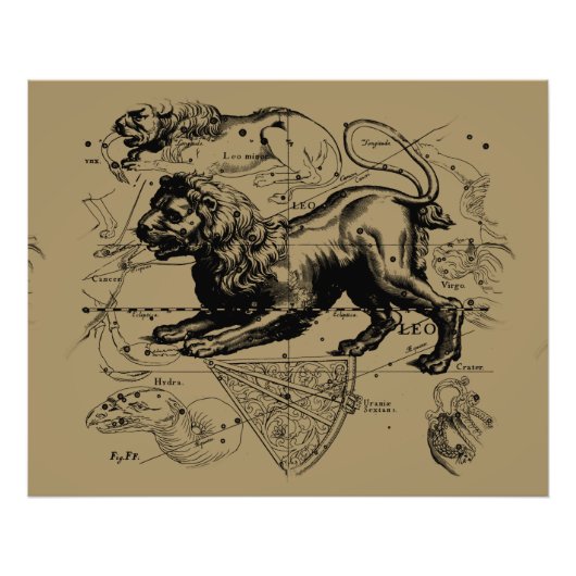 Leo Constellation Hevelius 1690 juli 23 augustus 2 Foto Afdruk (Voorkant)