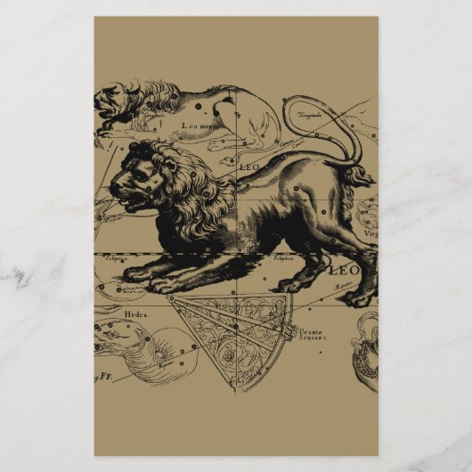 Leo Constellation Hevelius 1690 juli - 23 augustus Flyer (Voorkant)