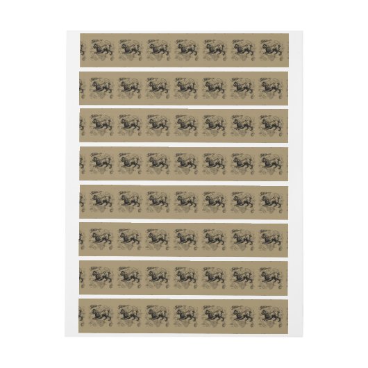 Leo Constellation Hevelius 1690 juli - 23 augustus Omwikkelbaar Adreslabel (Vel)