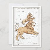Leo - Constellation - Horoscope - Zodiac - Stars Kaart (Voorkant)