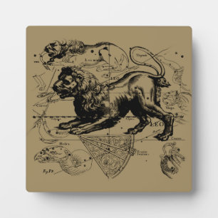 Leo Constellation Map Hevelius 1690 op Taupe Fotoplaat