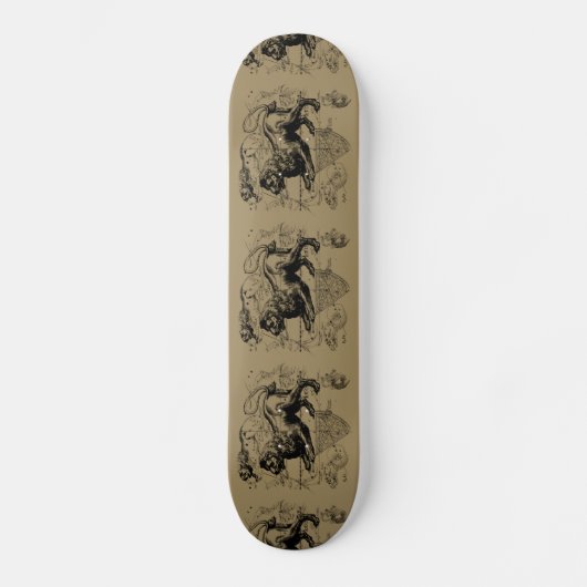 Leo Constellation Map Hevelius 1690 op Taupe Persoonlijk Skateboard (Voorkant)