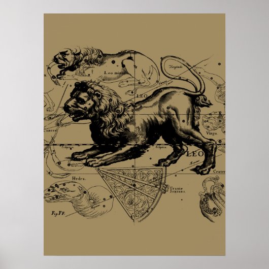 Leo Constellation Map Hevelius 1690 op Taupe Poster (Voorkant)