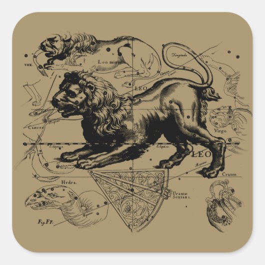 Leo Constellation Map Hevelius 1690 op Taupe Vierkante Sticker (Voorkant)