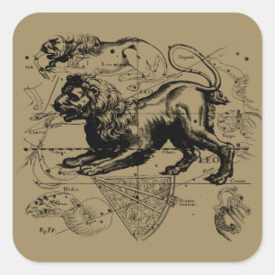 Leo Constellation Map Hevelius 1690 op Taupe Vierkante Sticker