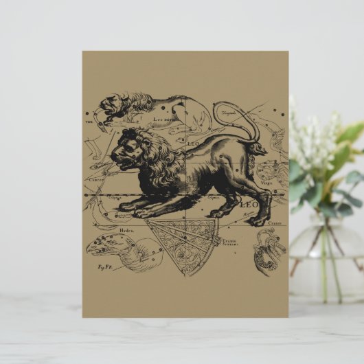 Leo Constellation Map Hevelius ongeveer 1690 (Staand voorkant)