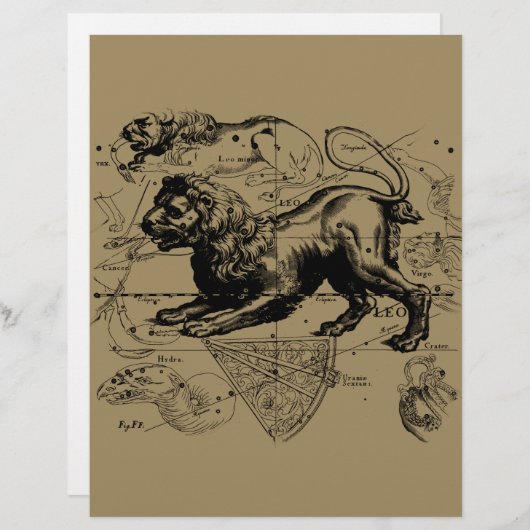 Leo Constellation Map Hevelius ongeveer 1690 (Voorkant / Achterkant)