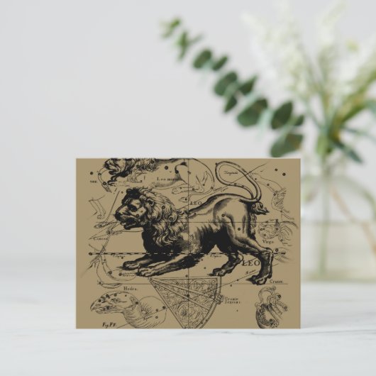 Leo Constellation Map Hevelius ongeveer 1690 Briefkaart (Staand voorkant)