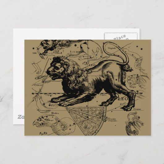 Leo Constellation Map Hevelius ongeveer 1690 Briefkaart (Voorkant / Achterkant)