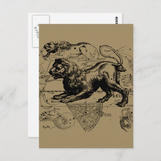 Leo Constellation Map Hevelius ongeveer 1690 Briefkaart (Voorkant / Achterkant)