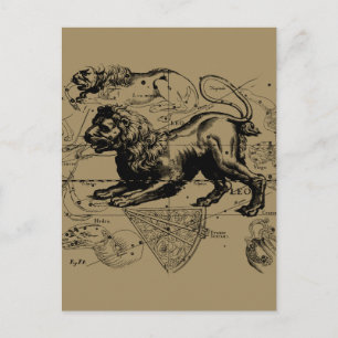 Leo Constellation Map Hevelius ongeveer 1690 Briefkaart