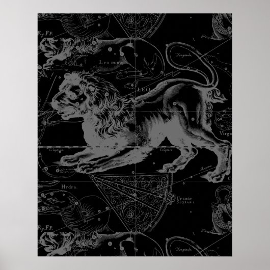 Leo Constellation MapHevelius 1690 Poster (Voorkant)