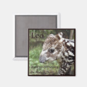 Leo de Andes Tapir Magneet (Voorkant / Achterkant)