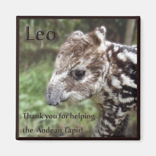 Leo de Andes Tapir Magneet (Voorkant)