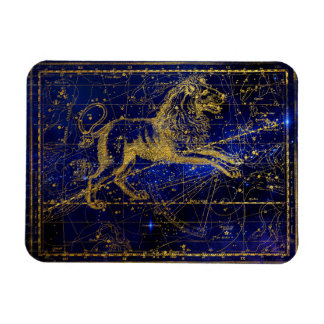 leo de leeuw - constellatie magnet magneet