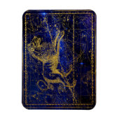 leo de leeuw - constellatie magnet magneet (Verticaal)