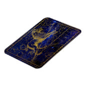 leo de leeuw - constellatie magnet magneet (Linkerzijde)