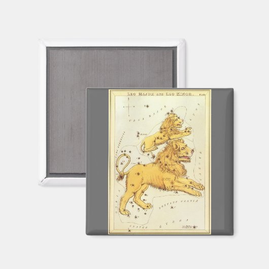 Leo de Leeuw  Constellatie Urania's Mirror Magneet (Voorkant / Achterkant)