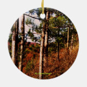 Leo Harrison St Pk~Pa Grand Canyon Keramisch Ornament (Achterkant)