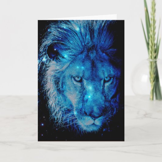 Leo Kaart (Voorkant)